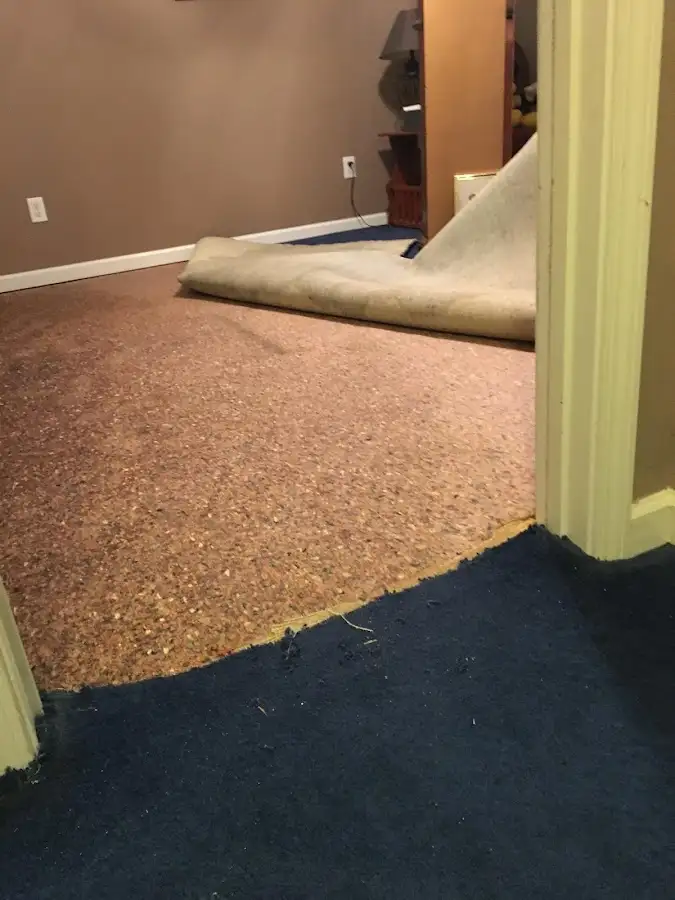 Carpet pad removal revealing water damage during Drying & Dehumidification in Pikesville
