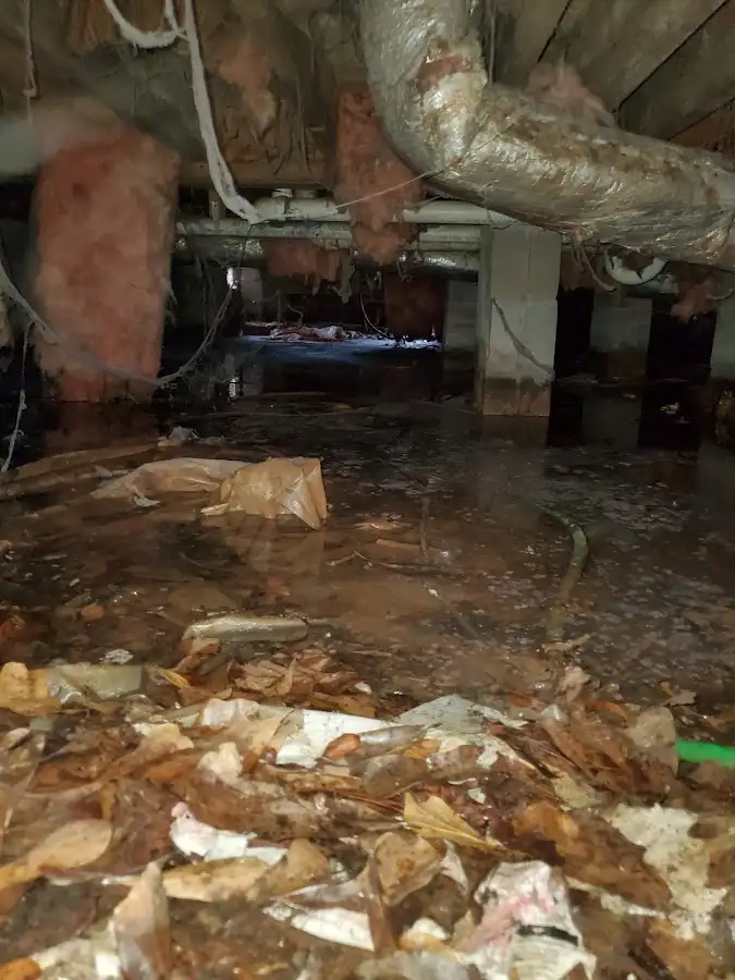 Crawl space flood assessment for Leak Detection & Repair in Pikesville